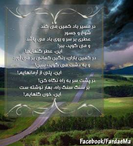 10151912_614689878606983_1585516659_n