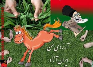 10153411_606168819471274_435389136_n