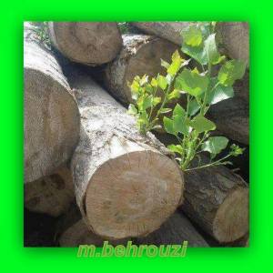 10153856_818846451478326_1115912330092685161_n