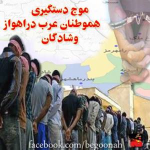 10155054_286655824827997_4432956719797622896_n