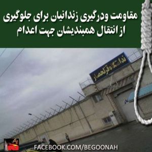 10155306_289928764500703_7410923101870509344_n