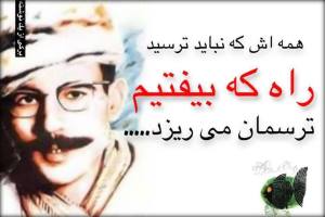 10155754_636114233144502_7089877062440856951_n