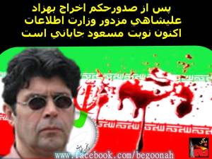 10168351_10200772730080759_1086284808_n