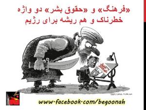 10168435_10200770947516196_695501924_n