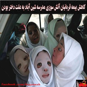 10248960_260306180819057_458491798_n