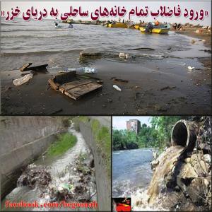 10250833_262585880591087_1449693508_n