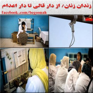 10253301_263689680480707_166595599_n