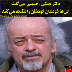 10253365_263320673850941_125781188_n