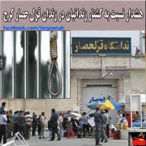 10255338_263326703850338_274089509_n