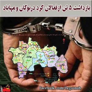 10255989_262747953908213_2019198208_n