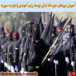 10276435_261916567324685_1963427899_n