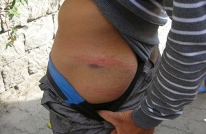 500x325x19339.jpg.pagespeed.ic.zdrMuQRN9e