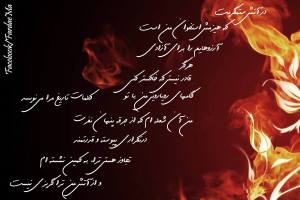 902049_619819648094006_5658374129220619838_o