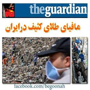 971048_285392861620960_826971145_n