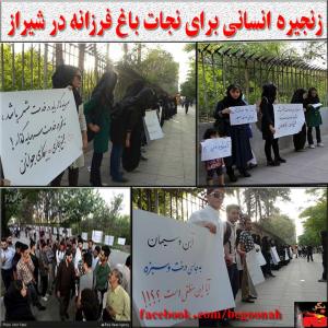 10001418_302697726557140_2570424540603327602_n