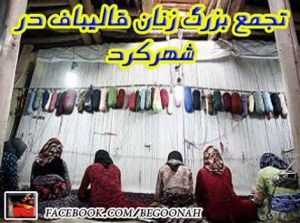 10151284_293498150810431_2883148017086386631_n