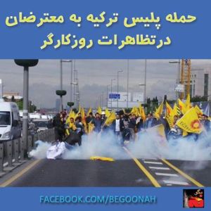 10156081_293558047471108_1659326953952864092_n