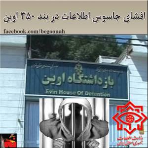 10259000_300027130157533_5237594956615066074_n