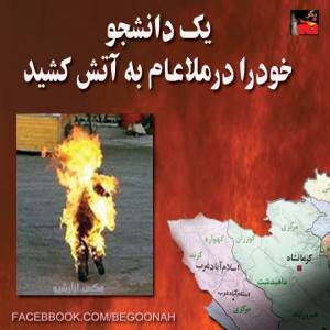 10300904_293869344106645_7326964374234998242_n