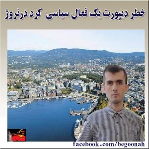 10356559_269323743250634_61526360_n