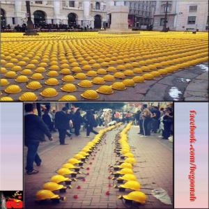 10358098_271304309719244_461506825_n