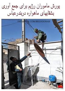 10371574_301216940038552_8391393676596496647_n