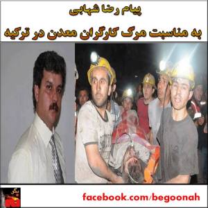 10379115_271016169748058_71212971_n