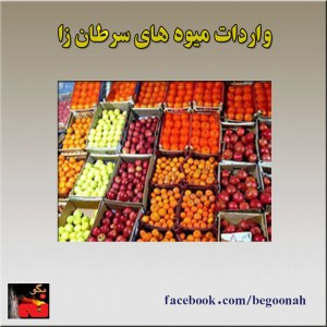 10385156_273846636131678_1442717038_n