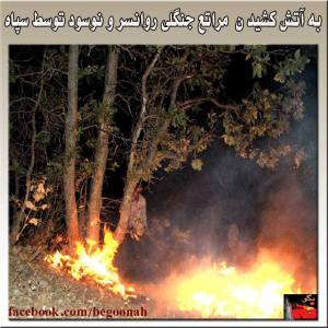 10405948_273133272869681_1230463380_n