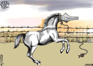 1901292_683904281665595_5256544520994106594_n