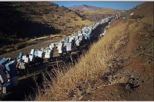 201458123535628293814