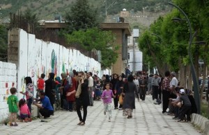 500x325x19903.jpg.pagespeed.ic.yjrvza4FBt