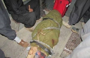 500x325x20230.jpg.pagespeed.ic.6eyGOKZuWd