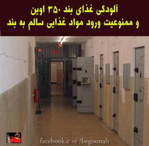 10407419_305337369626509_7188349490298318132_n