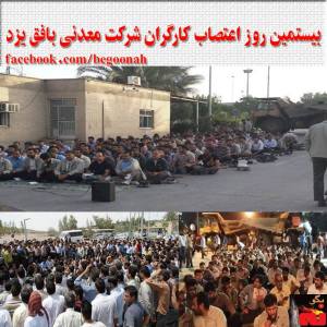 10417248_276942579155417_1679883525_n