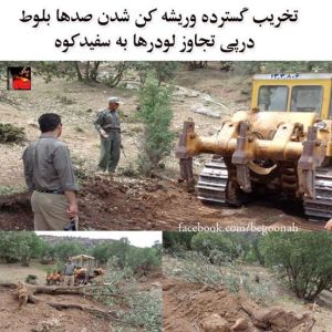 10421130_307774289382817_8987480884993208268_n