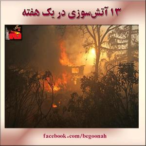 10423590_277286572454351_315401515_n