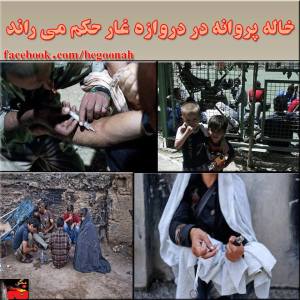 10425555_277232495793092_423512201_n