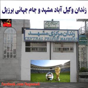 10447168_280004625515879_135830752_n