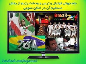 10453265_683457178356503_600423770_n