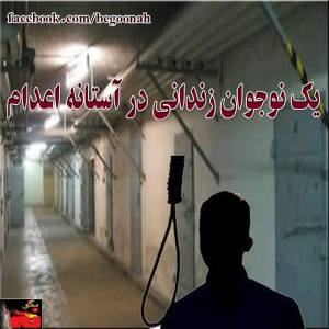 10466676_277567959092879_1654283905_n