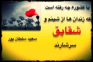 10473070_279693425546999_7637441296136188112_n