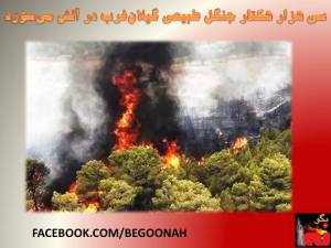 10474342_683808451654709_900354571_n