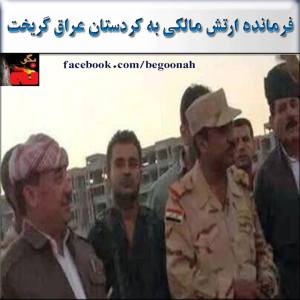 10490308_282397951943213_1137606273_n