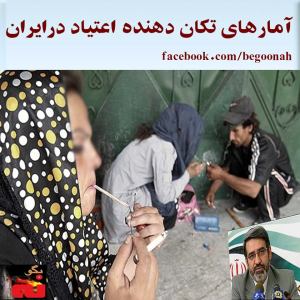 10501497_282206755295666_1383704238_n