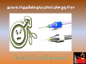 10508499_688730017829219_1060004839_n