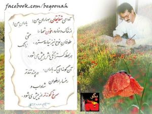 1454978_303931426433770_5913964097624490185_n