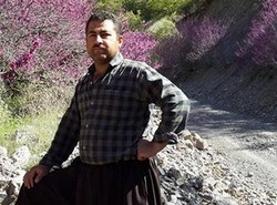 250x185x20817.jpg.pagespeed.ic.oScdingpbX