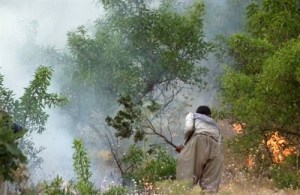 500x325x20634.jpg.pagespeed.ic.ShXJ9FN10P