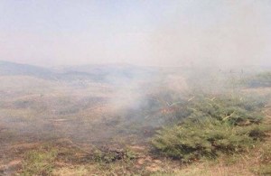 500x325x20636.jpg.pagespeed.ic.gV6o0MJzLZ